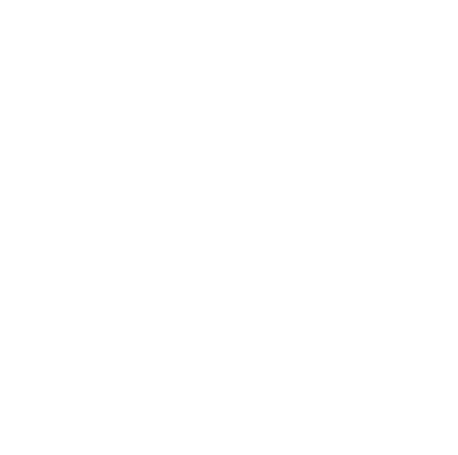 Maximus Adify Marketing